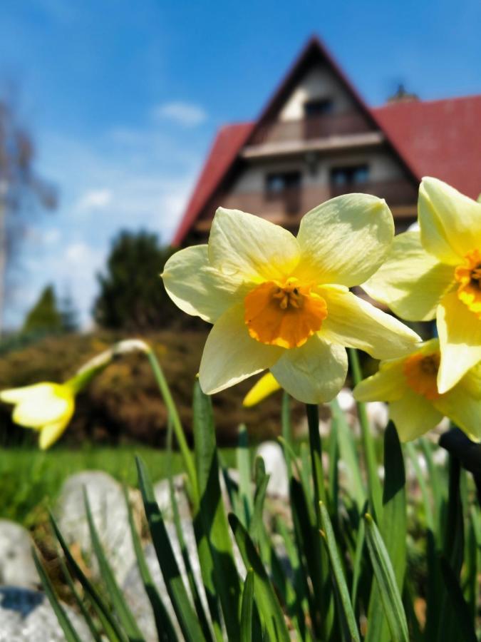 Dom Na Brzyzku Hotel Poronin Luaran gambar